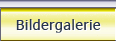 BILDERGALERIE